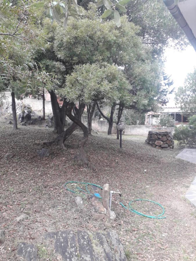 B&B Nuraghes Olbia Eksteriør bilde