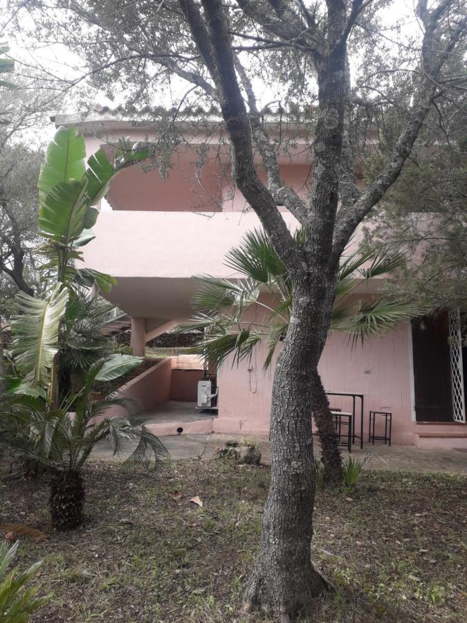 B&B Nuraghes Olbia Eksteriør bilde