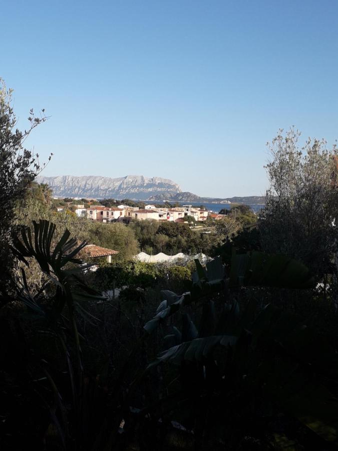 B&B Nuraghes Olbia Eksteriør bilde