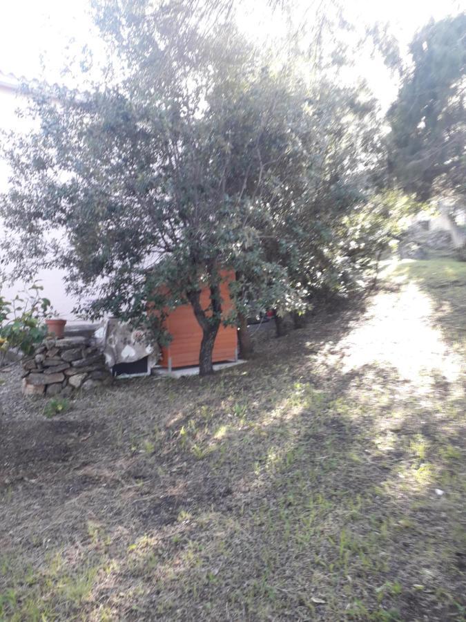 B&B Nuraghes Olbia Eksteriør bilde