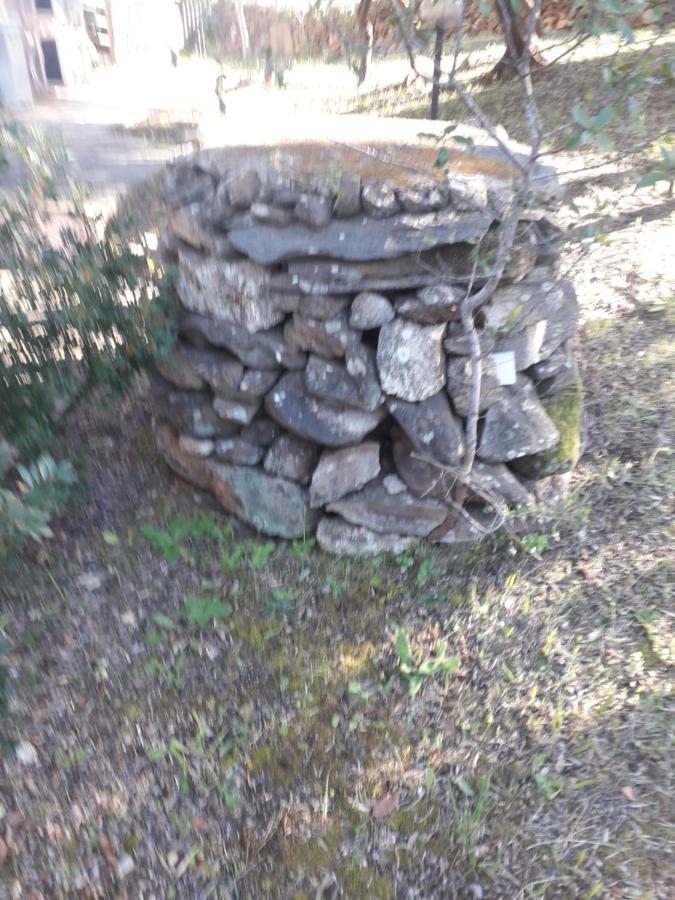 B&B Nuraghes Olbia Eksteriør bilde